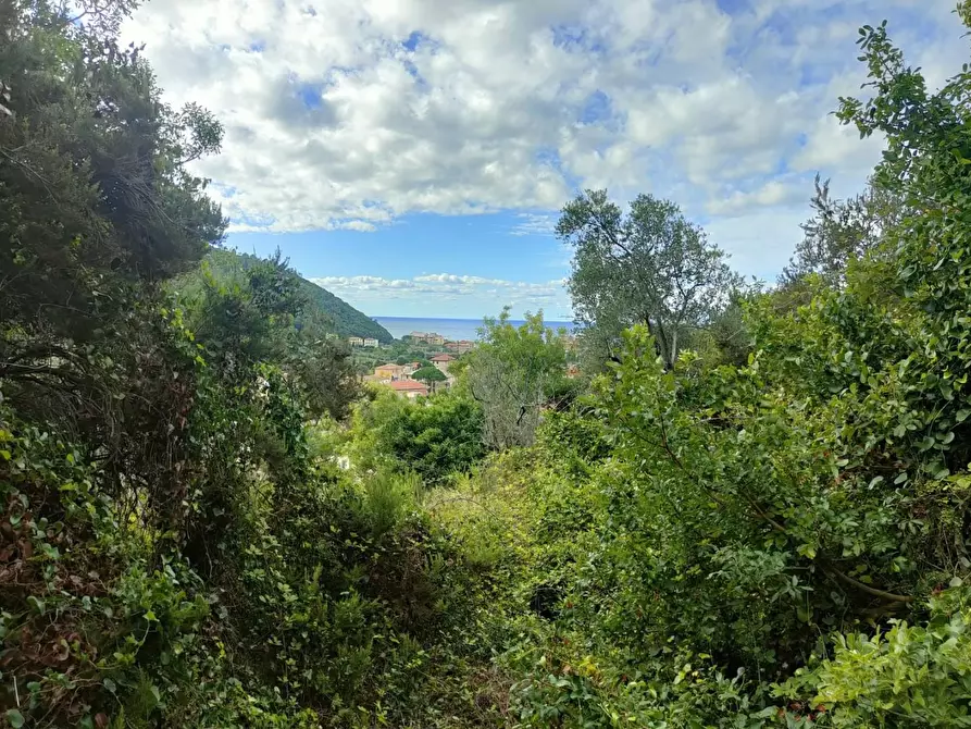 Immagine 5 di Terreno residenziale in vendita  a Deiva Marina