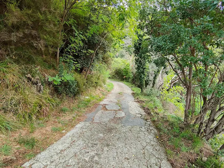 Immagine 10 di Terreno residenziale in vendita  a Deiva Marina