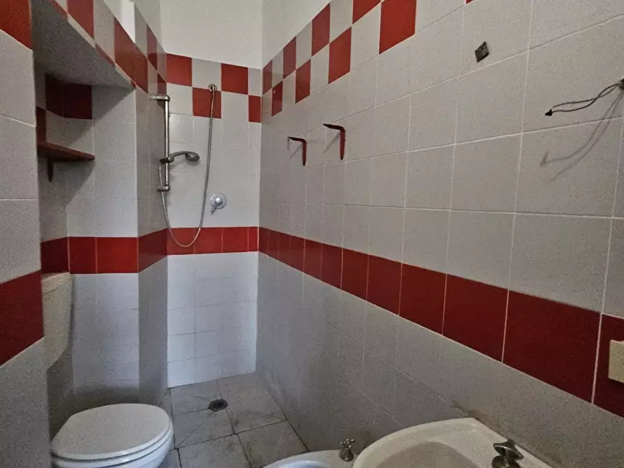 Immagine 10 di Terratetto in vendita  a Vecchiano