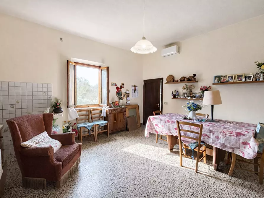 Immagine 5 di Terratetto in vendita  a Bientina