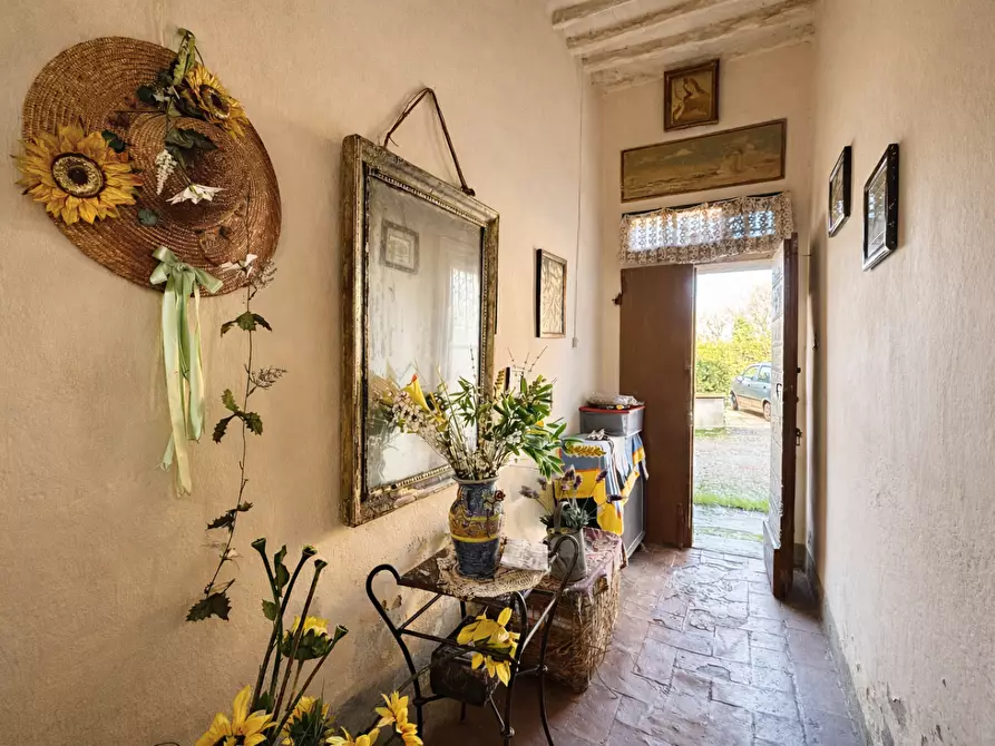 Immagine 15 di Terratetto in vendita  a Bientina