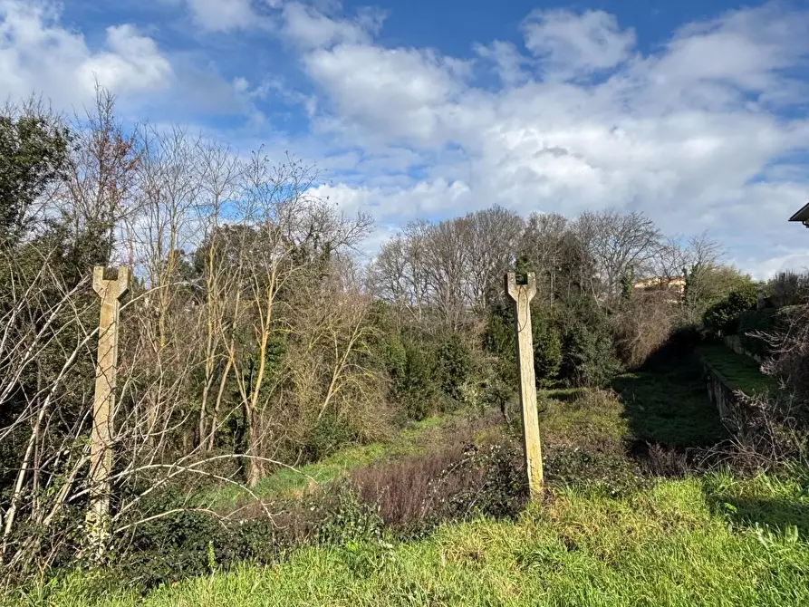 Immagine 17 di Terratetto in vendita  a Bientina