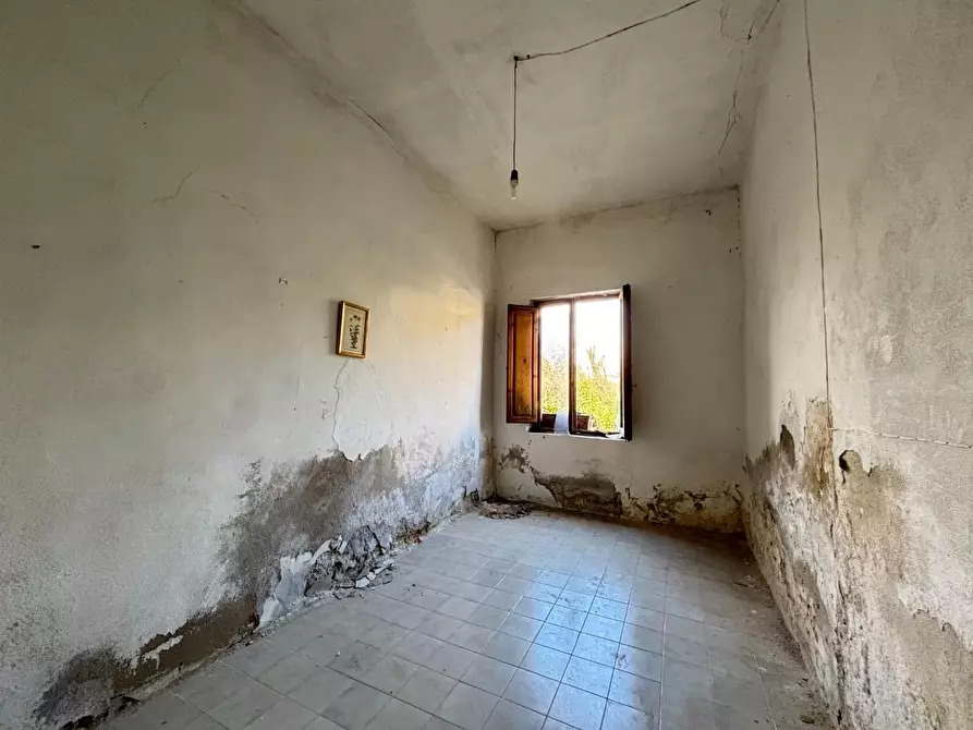 Immagine 11 di Terratetto in vendita  a Bientina