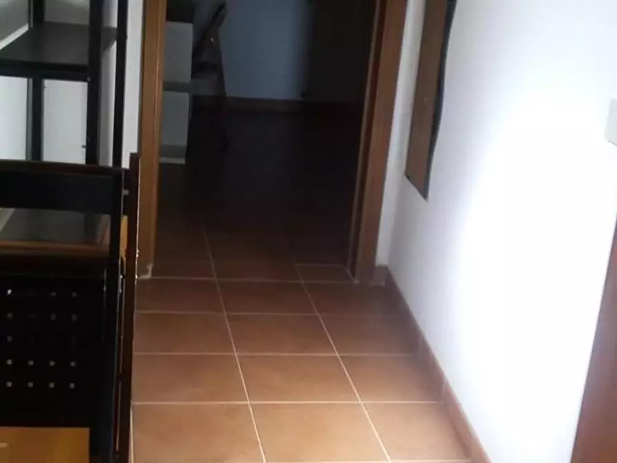 Immagine 6 di Appartamento in affitto  a Pisa