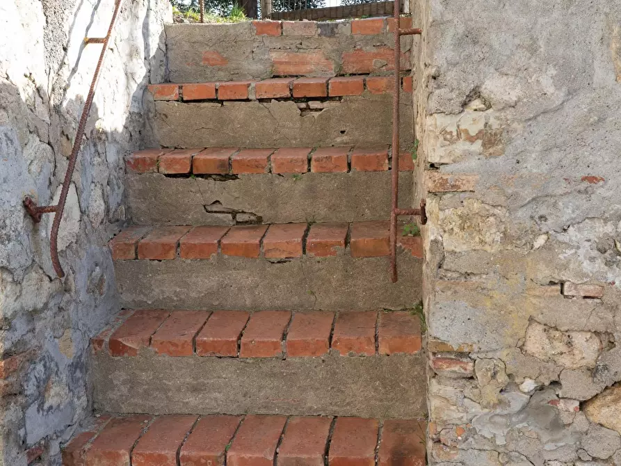 Immagine 25 di Appartamento in vendita  a Rosignano Marittimo