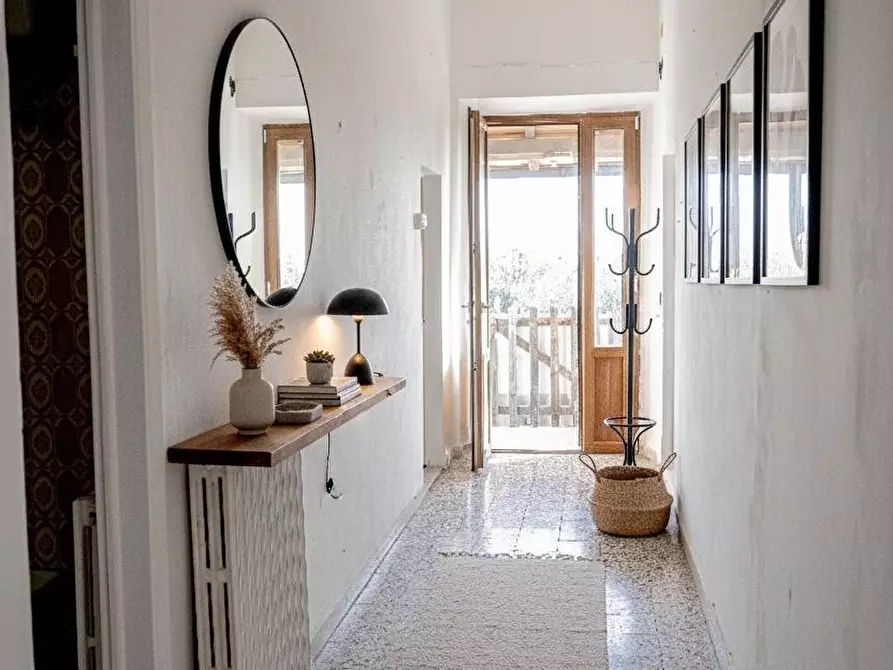 Immagine 11 di Appartamento in vendita  a Rosignano Marittimo