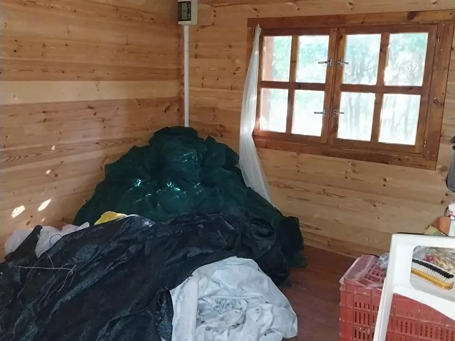 Immagine 4 di Terreno agricolo in vendita  a Calci