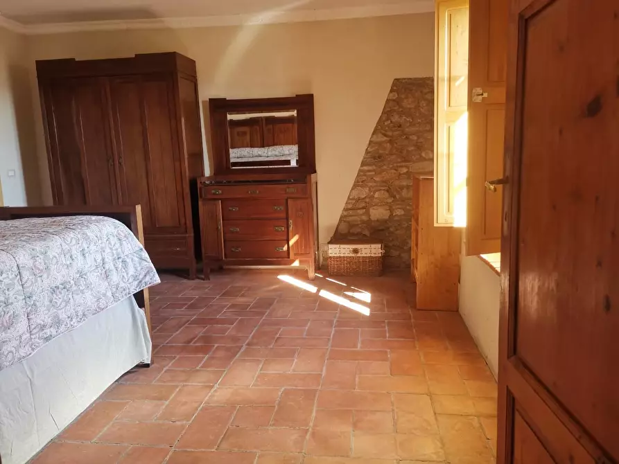 Immagine 7 di Rustico / casale in affitto  a Buti