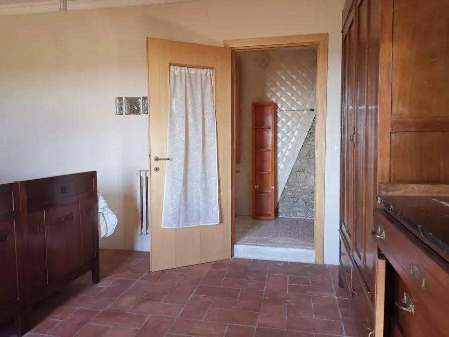 Immagine 11 di Rustico / casale in affitto  a Buti