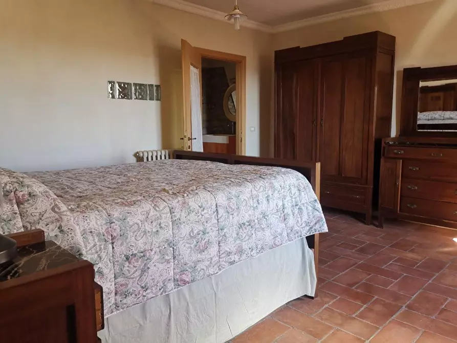 Immagine 8 di Rustico / casale in affitto  a Buti