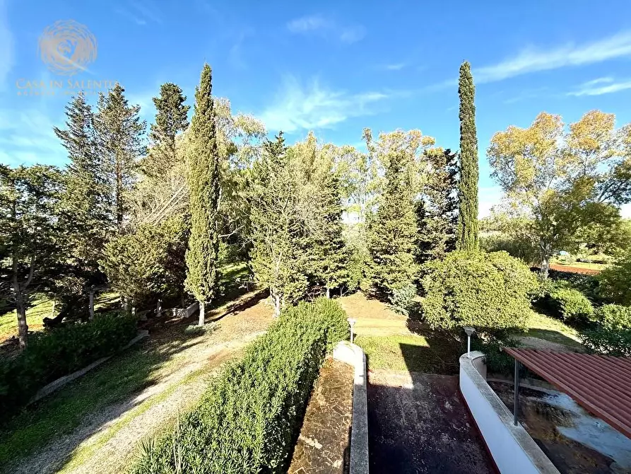 Immagine 49 di Villa in vendita  a Alessano