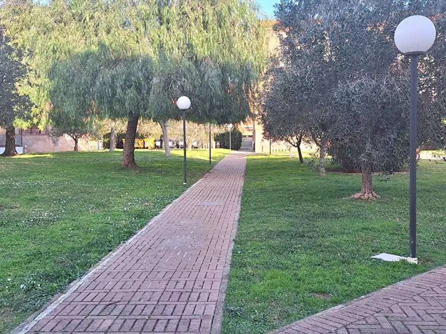 Immagine 27 di Appartamento in vendita  a Livorno