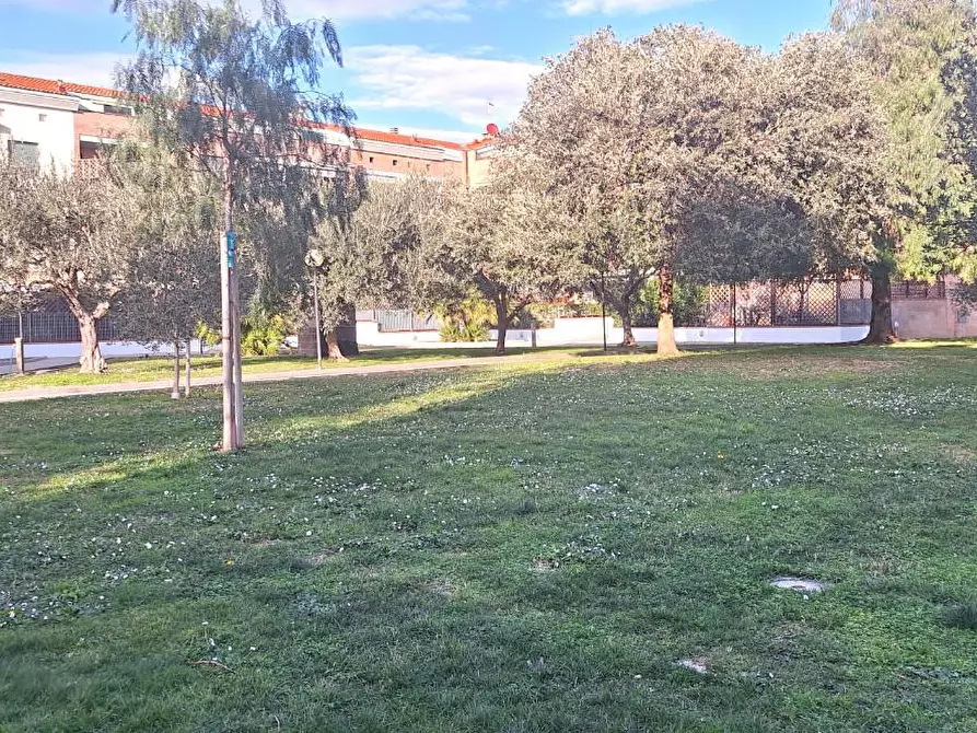 Immagine 26 di Appartamento in vendita  a Livorno