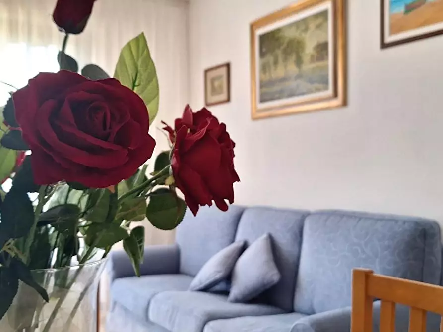 Immagine 6 di Appartamento in vendita  a Livorno