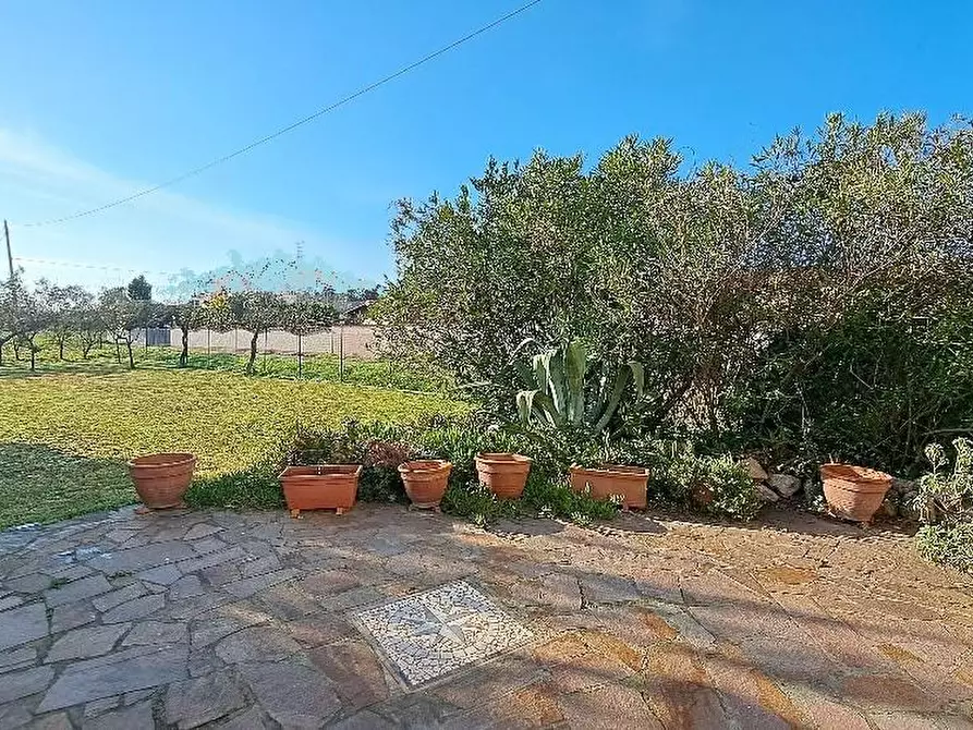 Immagine 30 di Terratetto in vendita  a Pisa