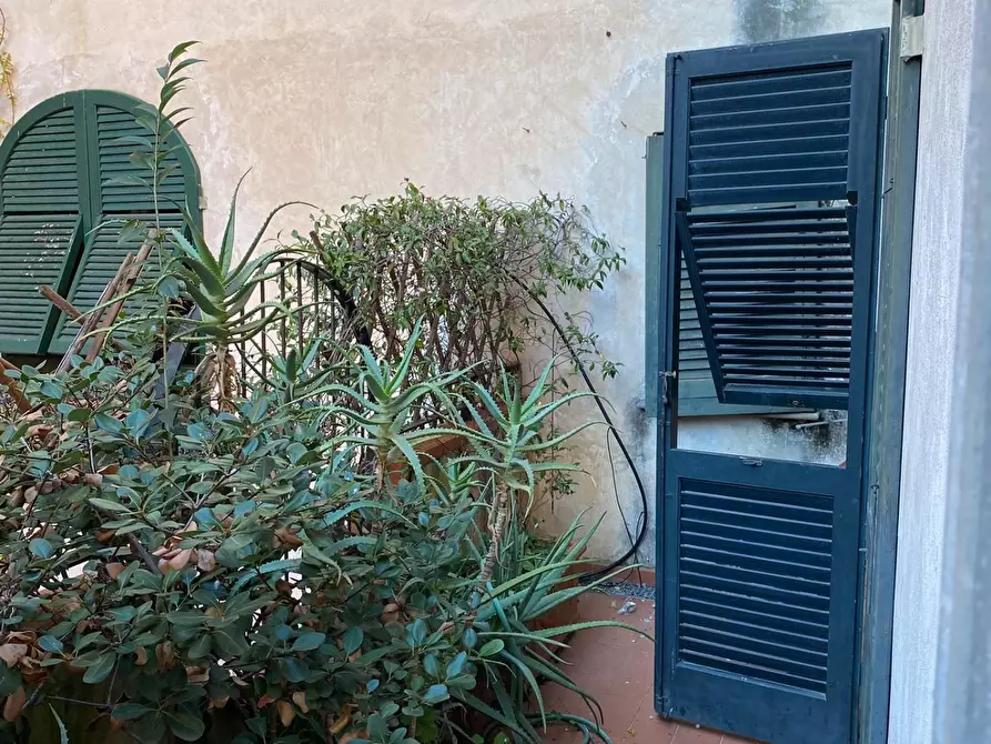 Immagine 19 di Appartamento in vendita  a Pisa