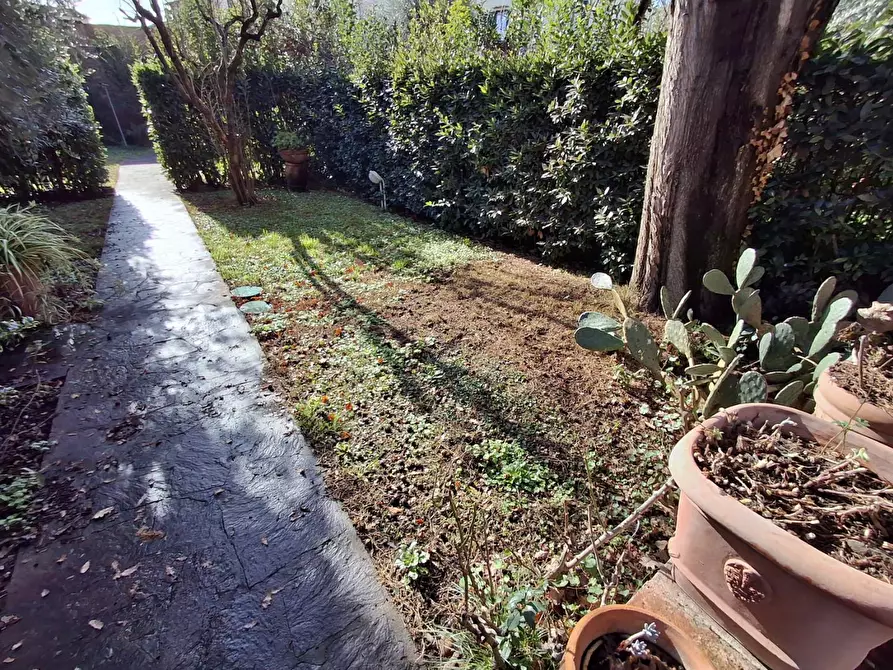 Immagine 32 di Terratetto in vendita  a Empoli