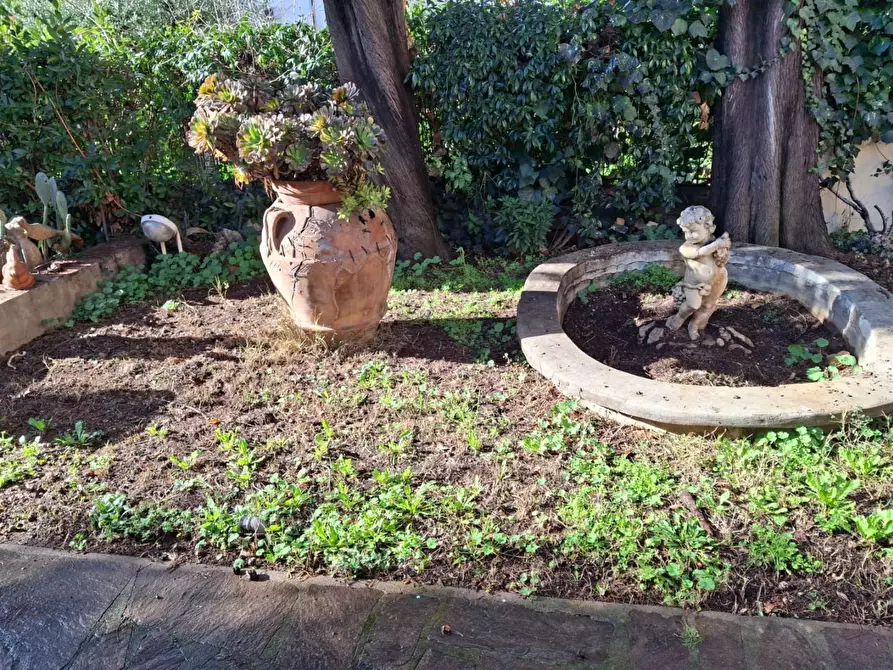 Immagine 29 di Terratetto in vendita  a Empoli