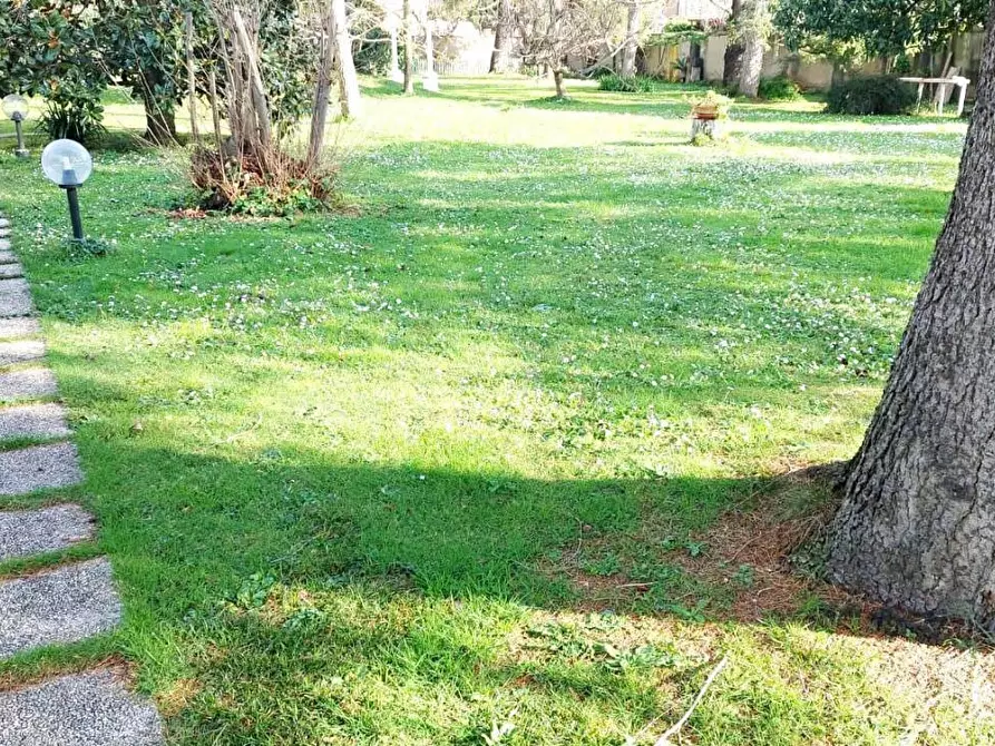 Immagine 90 di Casa bifamiliare in vendita  a Vicopisano