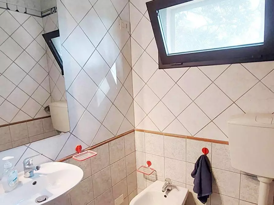 Immagine 16 di Casa bifamiliare in vendita  a Vicopisano