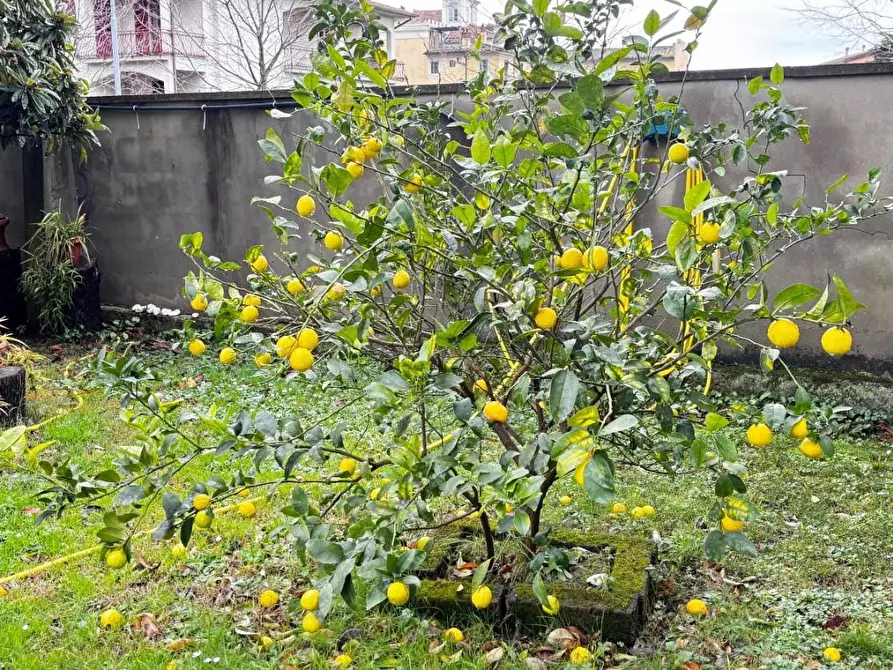 Immagine 105 di Casa bifamiliare in vendita  a Vicopisano