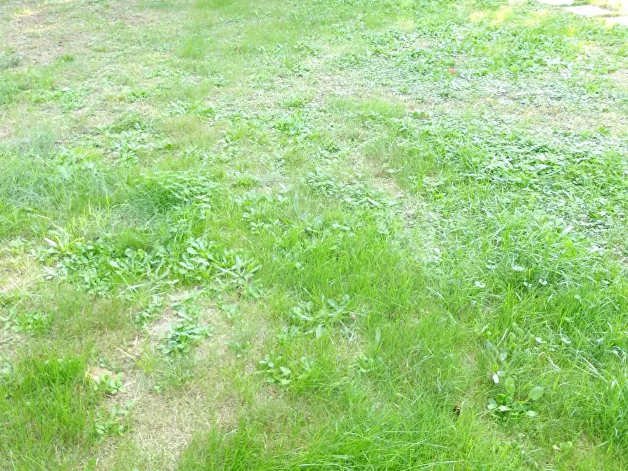 Immagine 78 di Casa bifamiliare in vendita  a Vicopisano