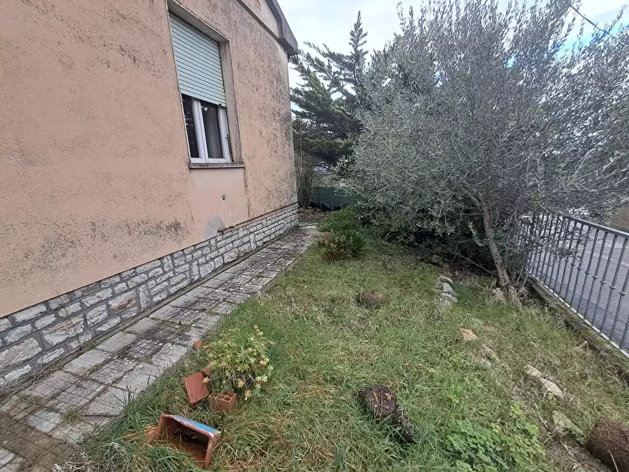 Immagine 50 di Villa in vendita  a Terricciola