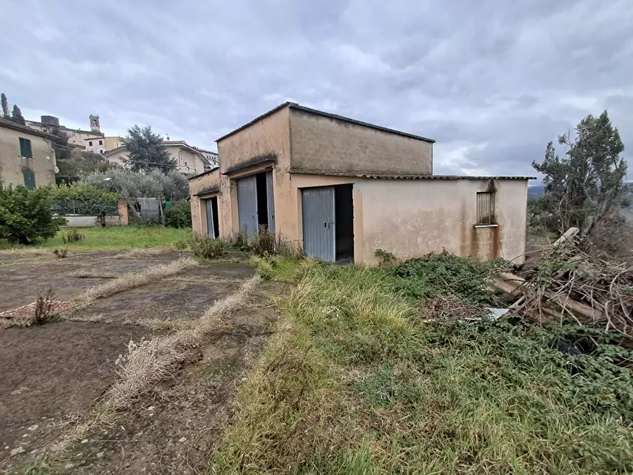 Immagine 45 di Villa in vendita  a Terricciola