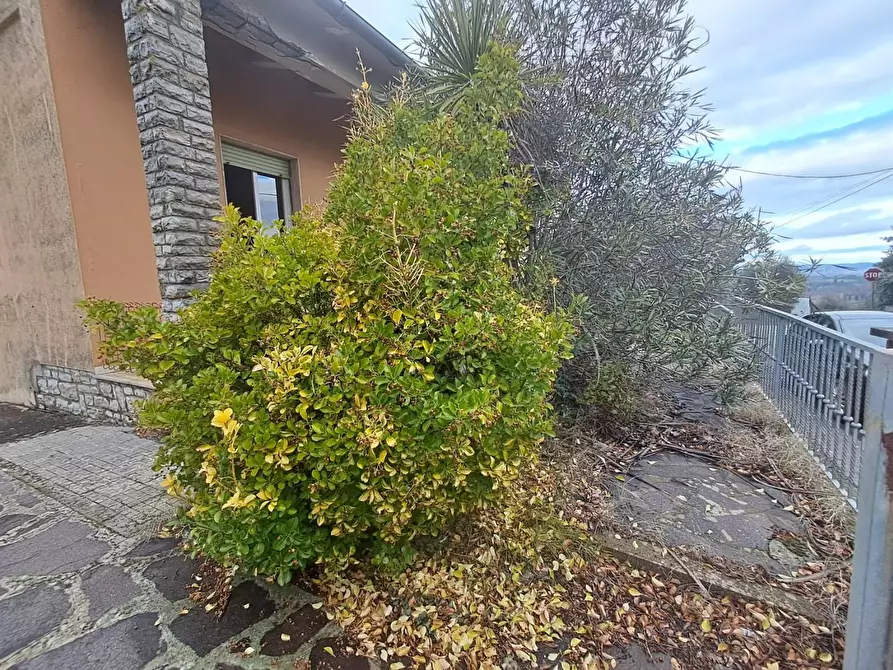 Immagine 48 di Villa in vendita  a Terricciola