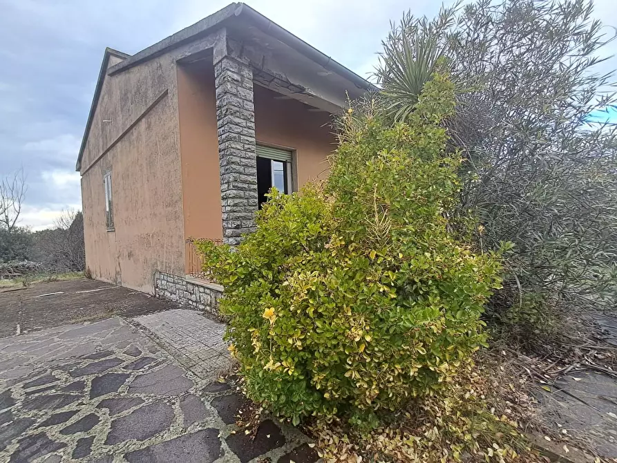 Immagine 47 di Villa in vendita  a Terricciola
