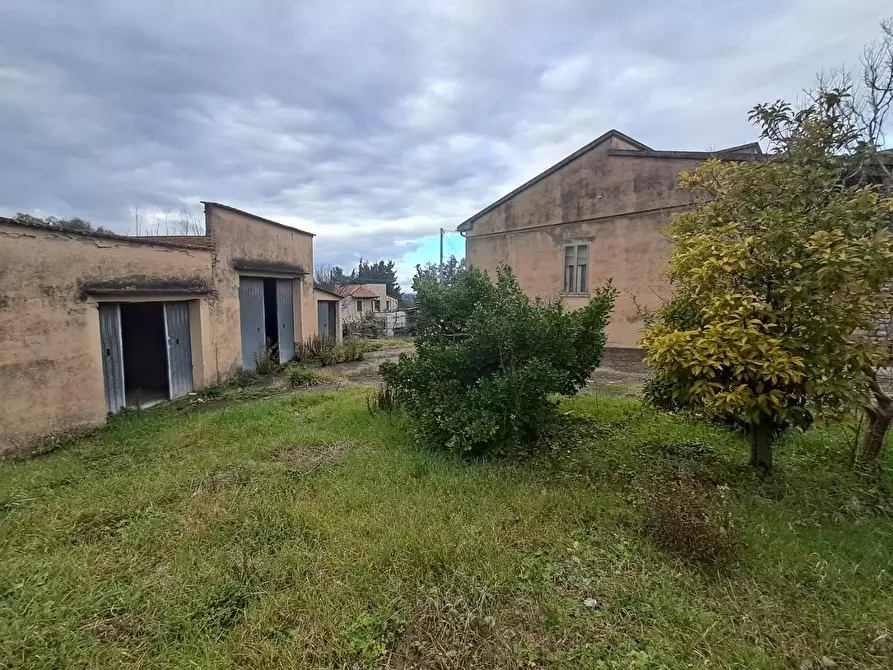 Immagine 1 di Villa in vendita  a Terricciola