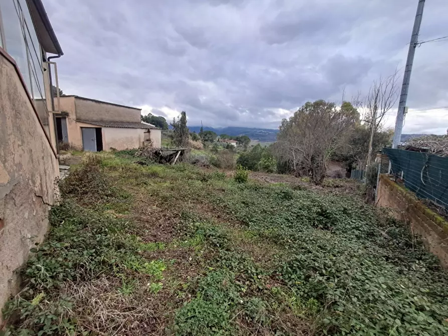 Immagine 56 di Villa in vendita  a Terricciola