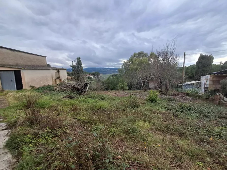 Immagine 42 di Villa in vendita  a Terricciola