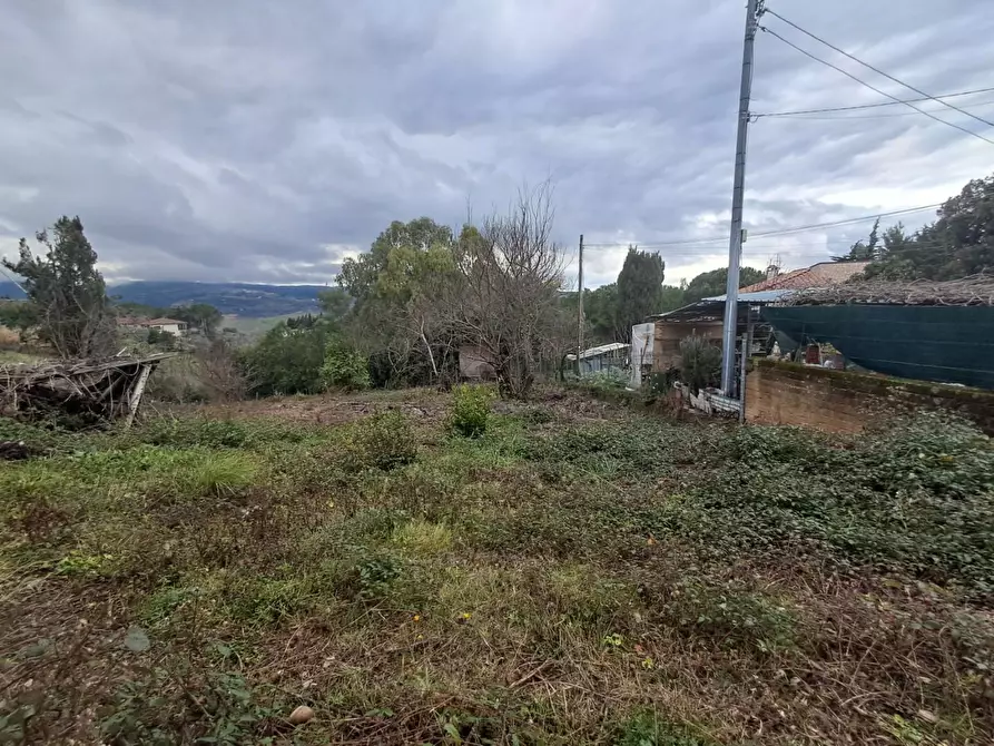 Immagine 43 di Villa in vendita  a Terricciola