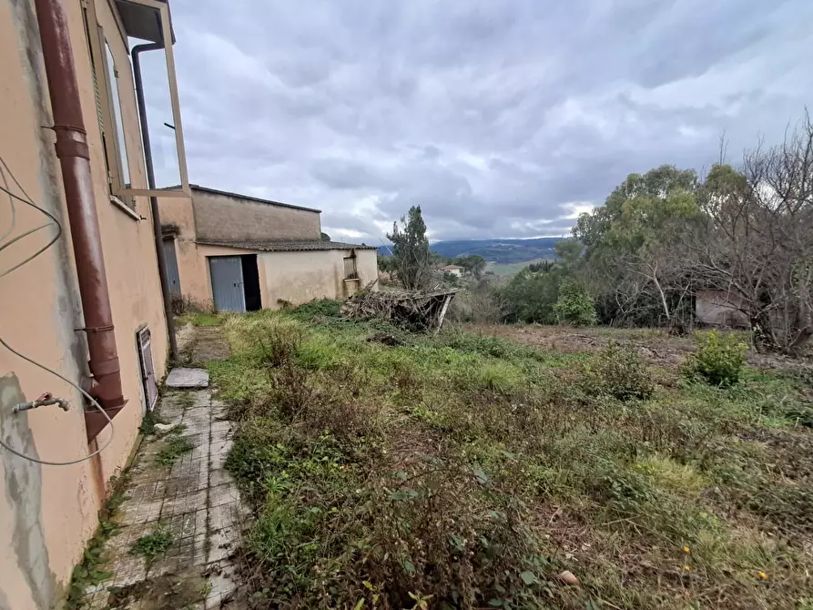 Immagine 44 di Villa in vendita  a Terricciola