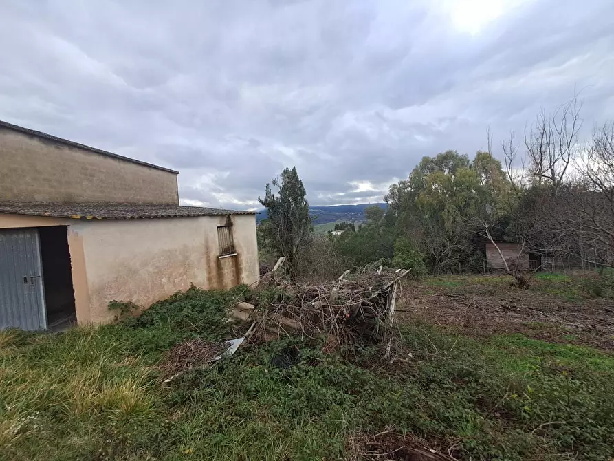 Immagine 46 di Villa in vendita  a Terricciola