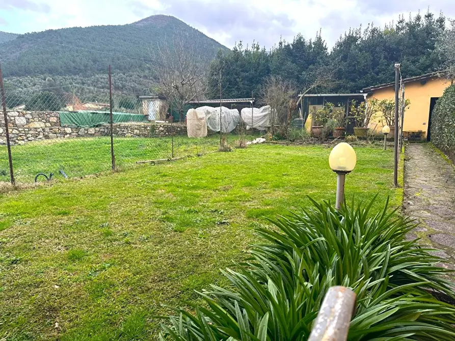 Immagine 28 di Terratetto in vendita  a Capannori