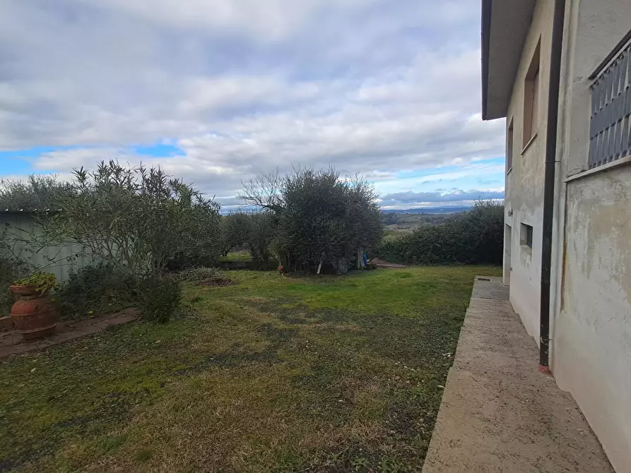 Immagine 55 di Villa in vendita  a Terricciola