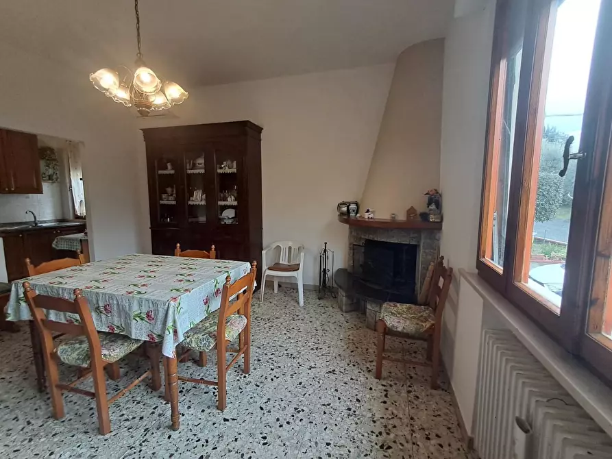 Immagine 4 di Villa in vendita  a Terricciola
