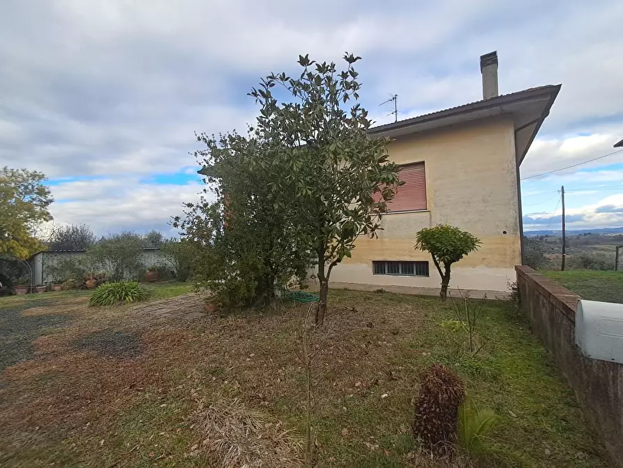 Immagine 58 di Villa in vendita  a Terricciola