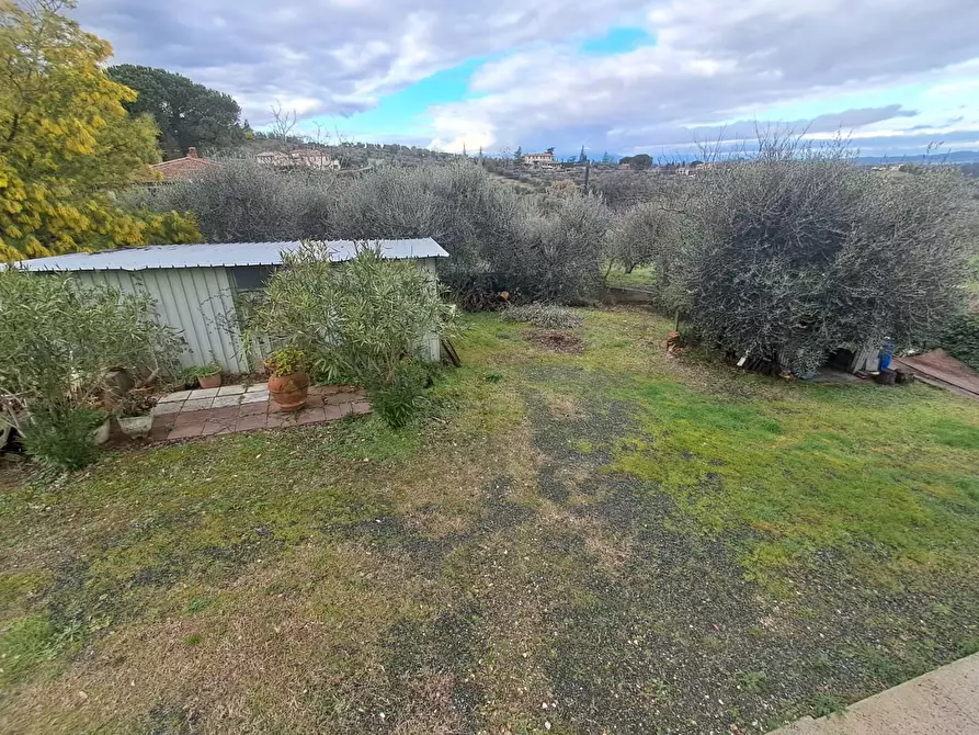 Immagine 51 di Villa in vendita  a Terricciola