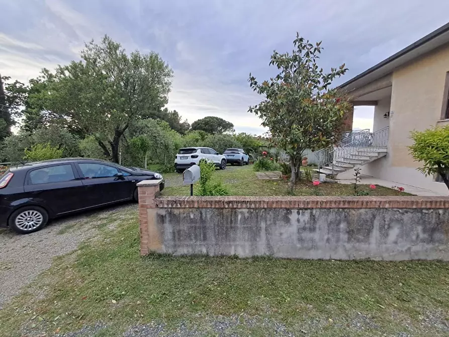 Immagine 6 di Villa in vendita  a Terricciola
