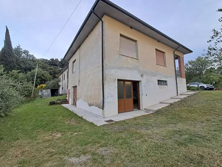 Immagine 4 di Villa in vendita  a Terricciola