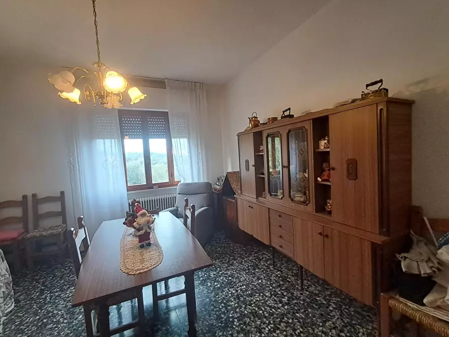 Immagine 19 di Villa in vendita  a Terricciola