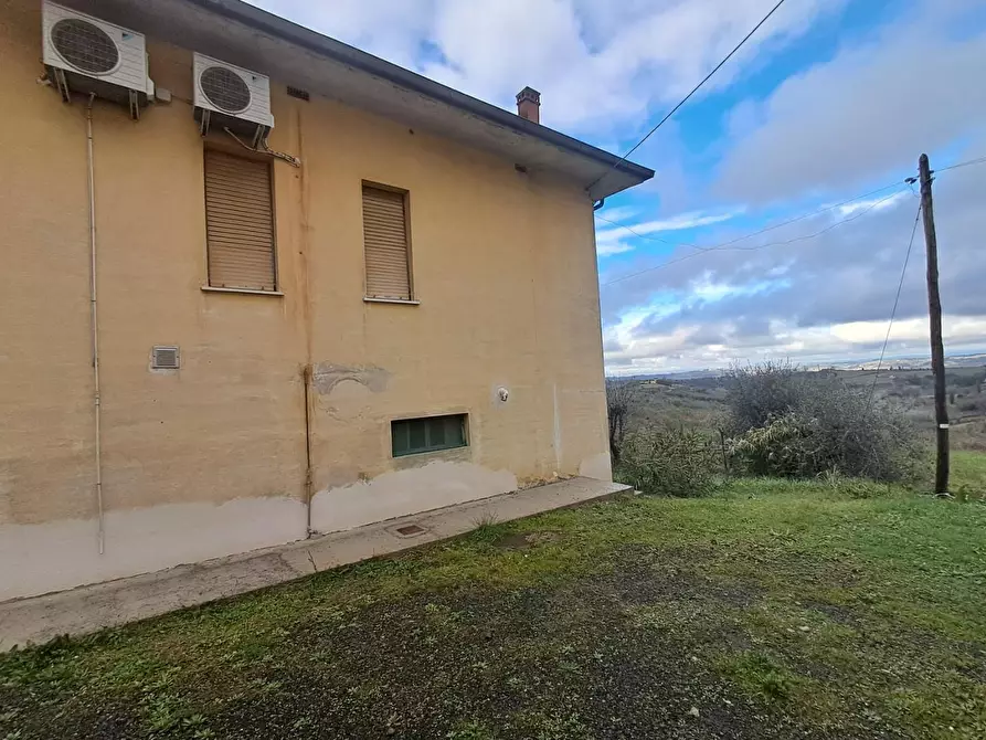 Immagine 52 di Villa in vendita  a Terricciola