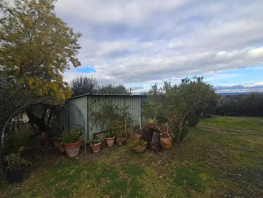 Immagine 57 di Villa in vendita  a Terricciola