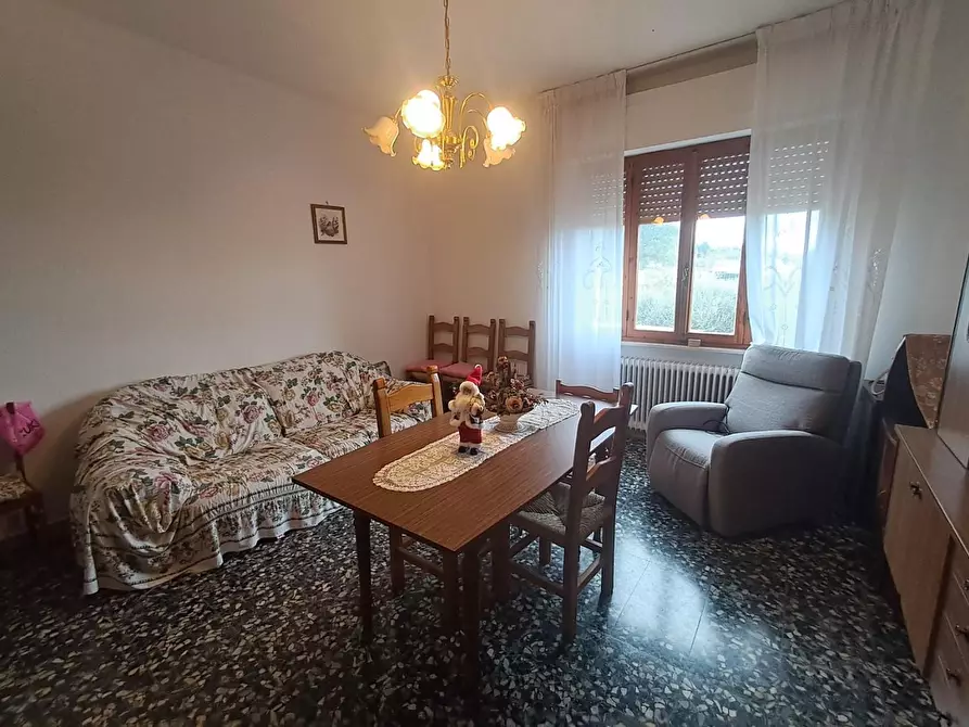 Immagine 18 di Villa in vendita  a Terricciola