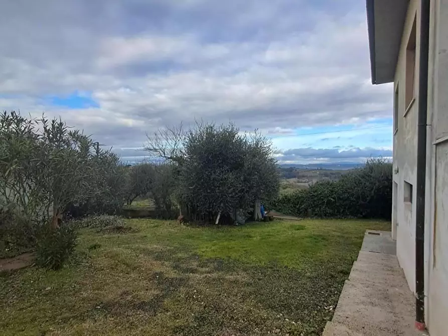 Immagine 56 di Villa in vendita  a Terricciola