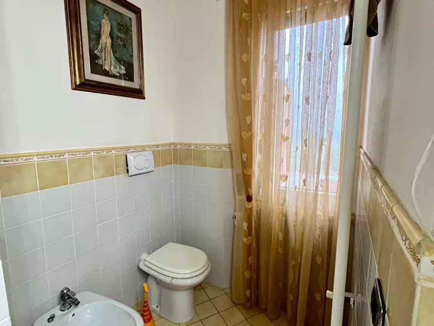 Immagine 19 di Appartamento in vendita  a Lajatico