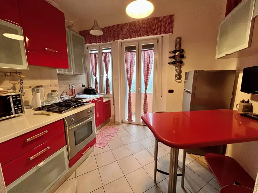 Immagine 7 di Appartamento in vendita  a Lajatico